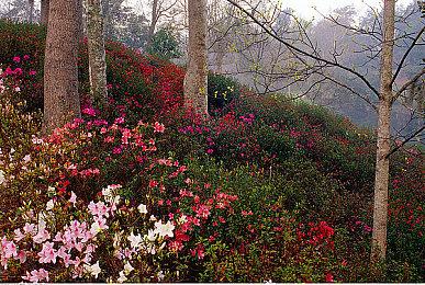 《旗帜的传说》风格战术RPG《愤怒之路》新预告